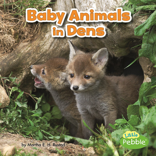 Baby Animals in Dens - 9781515738343 by Martha E. H. Rustad, 9781515738343
