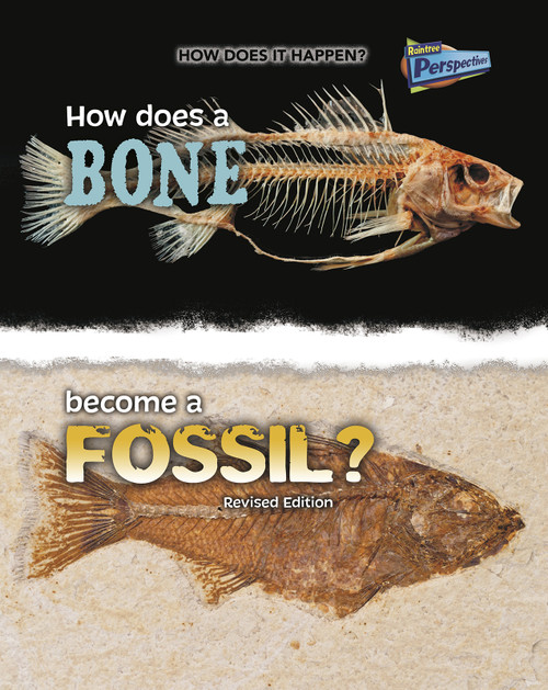 How Does a Bone Become a Fossil? by Melissa Stewart, 9781410985293