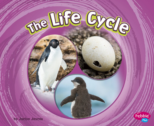 The Life Cycle by Jaclyn Jaycox, 9781977113924