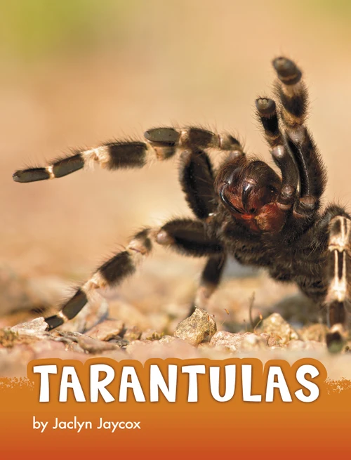 Tarantulas - 9781977113467 by Jaclyn Jaycox, 9781977113467