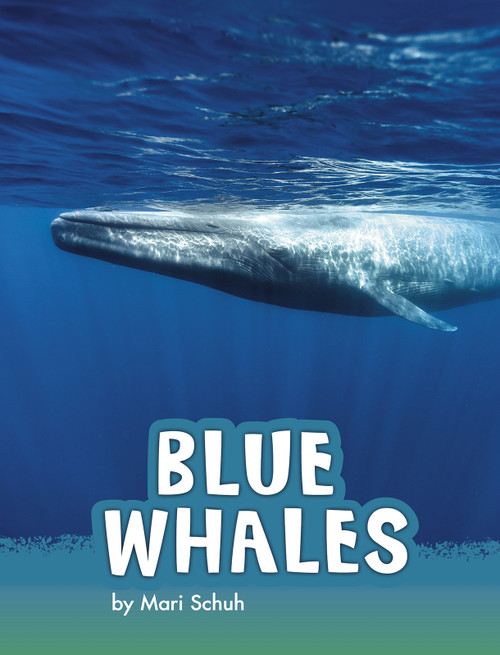 Blue Whales - 9781977117946 by Mari Schuh, 9781977117946