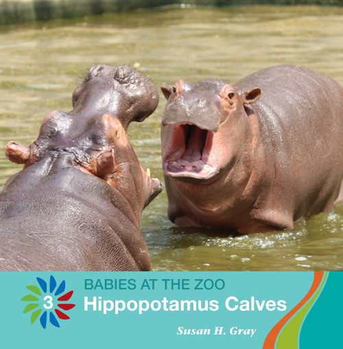 Hippopotamus Calves by Susan H. Gray, 9781534161238