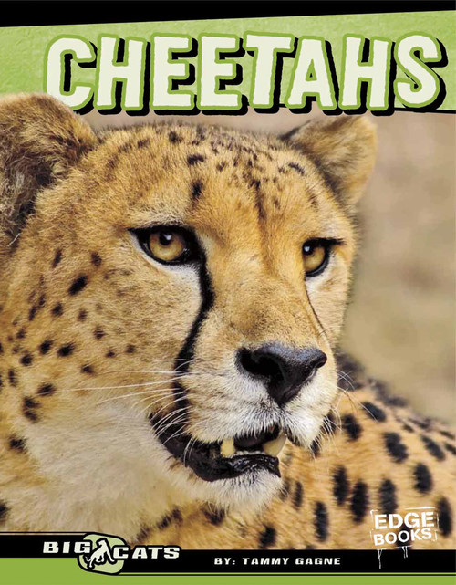 Cheetahs - 9781429676410 by Tammy Gagne, 9781429676410