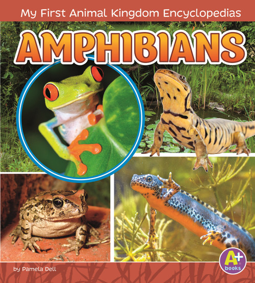 Amphibians - 9781515739371 by Emma Bernay, Emma Carlson Berne, 9781515739371