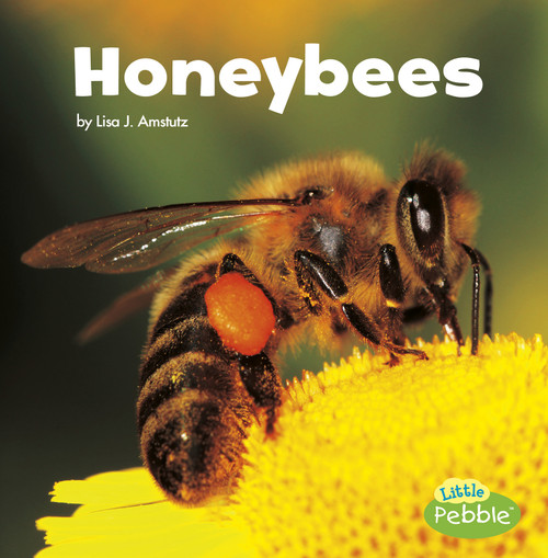Honeybees - 9781515778233 by Lisa J. Amstutz, 9781515778233