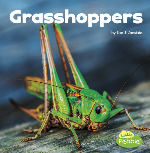 Grasshoppers - 9781515778240 by Lisa J. Amstutz, 9781515778240