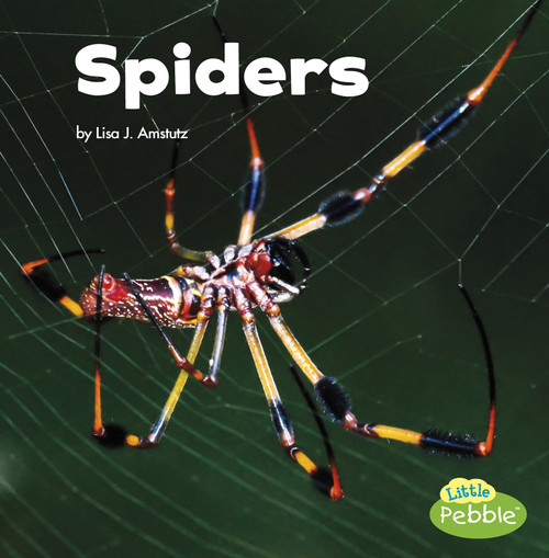 Spiders - 9781515778264 by Lisa J. Amstutz, 9781515778264