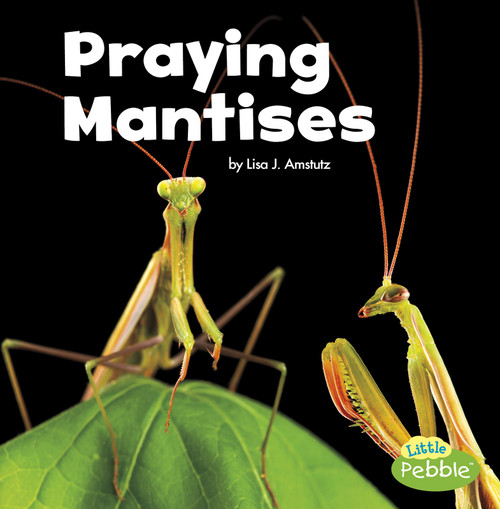 Praying Mantises - 9781515778387 by Lisa J. Amstutz, 9781515778387