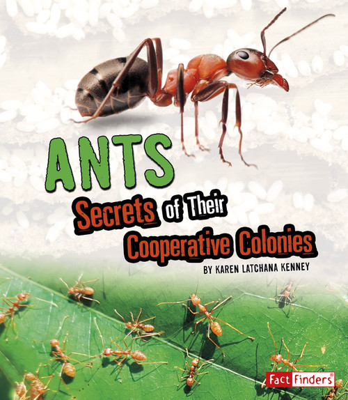 Ants (Secrets of Their Cooperative Colonies) - 9781543559101 by Karen Latchana Kenney, 9781543559101