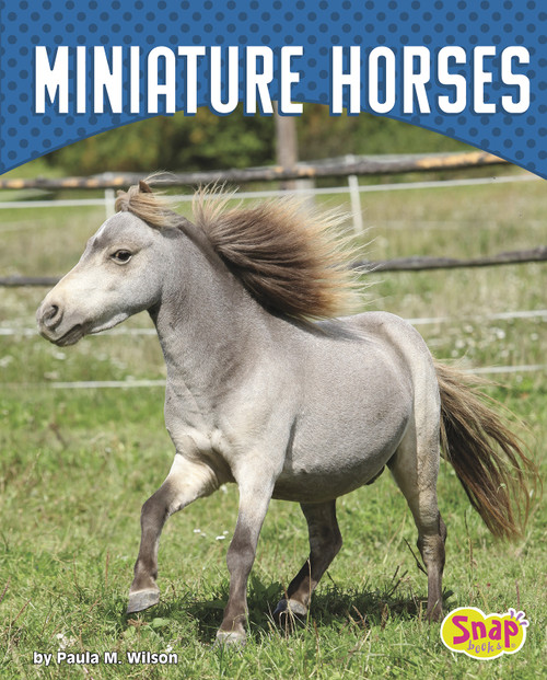 Miniature Horses - 9781543530599 by Paula M. Wilson, 9781543530599