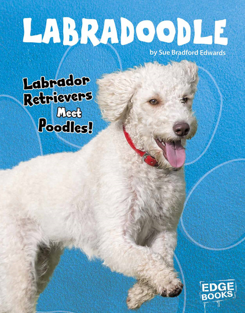 Labradoodle (Labrador Retrievers Meet Poodles!) by Sue Bradford Edwards, 9781543555196