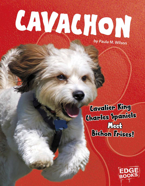 Cavachon (Cavalier King Charles Spaniels Meet Bichon Frises!) by Paula M. Wilson, 9781543555219
