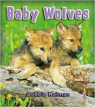 Baby Wolves - 9780778749004 by Bobbie Kalman, 9780778749004