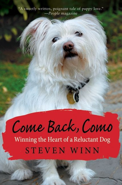 Come Back, Como (Winning the Heart of a Reluctant Dog) by Steven Winn, 9780061802584