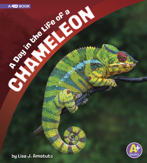 A Day in the Life of a Chameleon (A 4D Book) by Lisa J. Amstutz, 9781543531756