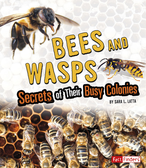 Bees and Wasps (Secrets of Their Busy Colonies) by Sara L. Latta, 9781543555547