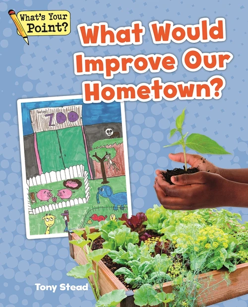 What Would Improve Our Hometown? by Tony Stead, 9781625219077