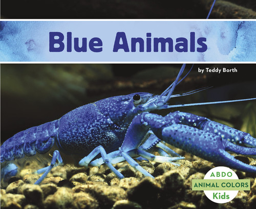 Blue Animals by Teddy Borth, 9781496611963