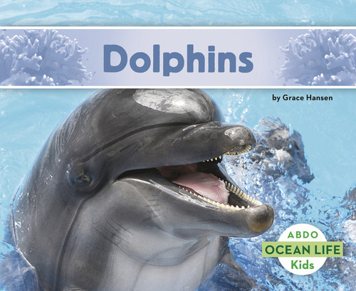 Dolphins - 9781496612526 by Grace Hansen, 9781496612526