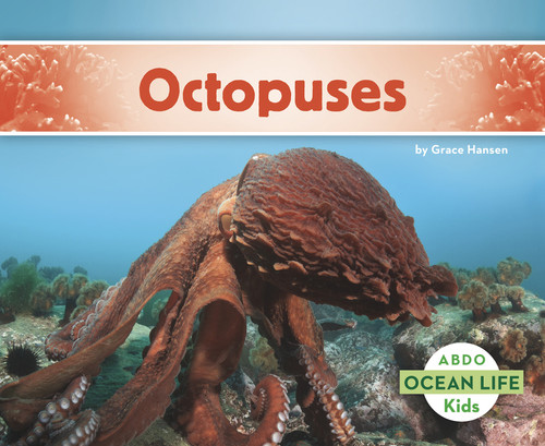 Octopuses - 9781496612540 by Grace Hansen, 9781496612540