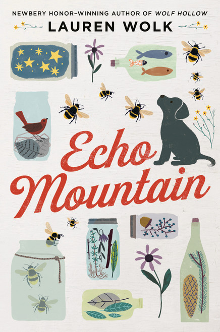 Echo Mountain by Lauren Wolk, 9780525555568