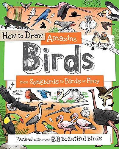 How to Draw Amazing Birds (From Songbirds to Birds of Prey) by Fiona Gowen, Paul Calver, Toby Reynolds, 9781438010533