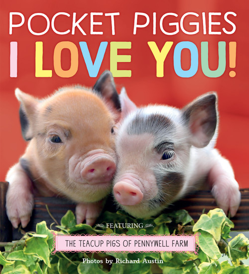 Pocket Piggies: I Love You! by Richard Austin, 9781523511167