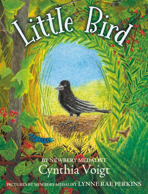 Little Bird - 9780062996893 by Cynthia Voigt, 9780062996893