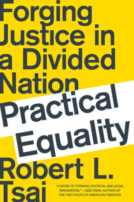 Practical Equality (Forging Justice in a Divided Nation) - 9780393358551 by Robert L. Tsai