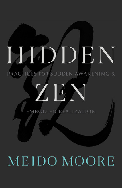 Hidden Zen (Practices for Sudden Awakening and Embodied Realization) by Meido Moore, 9781611808469