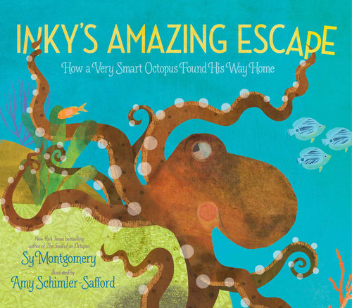 Inky's Amazing Escape (How a Very Smart Octopus Found His Way Home) - 9781534480445 by Sy Montgomery, Amy Schimler-Safford, 9781534480445