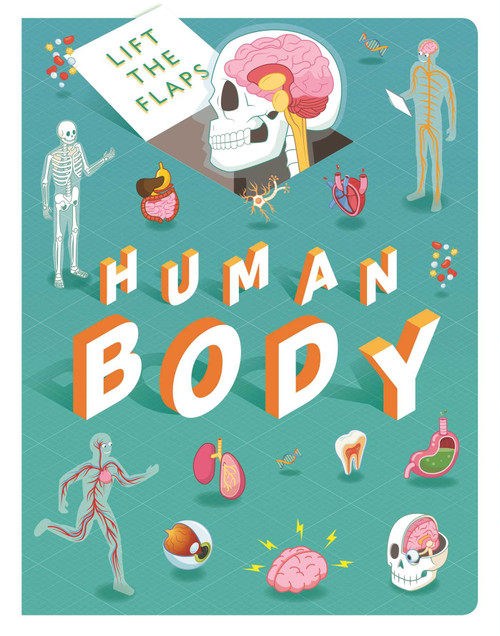 Lift The Flaps: Human Body (Lift-the-Flap Book) by IglooBooks, 9781800228511