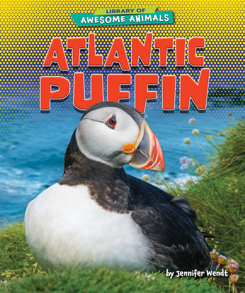Atlantic Puffin - 9781647471576 by Jennifer Wendt, 9781647471576