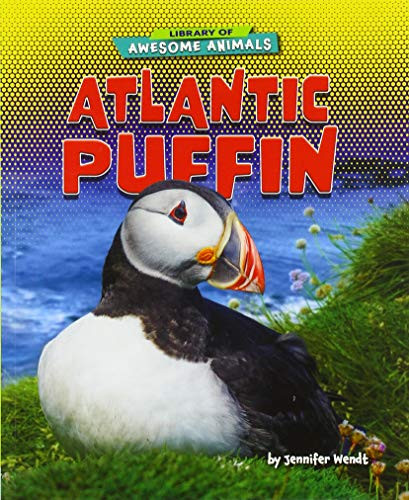 Atlantic Puffin - 9781647471576 by Jennifer Wendt, 9781647471576