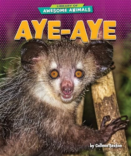 Aye-Aye by Colleen Sexton, 9781647471408