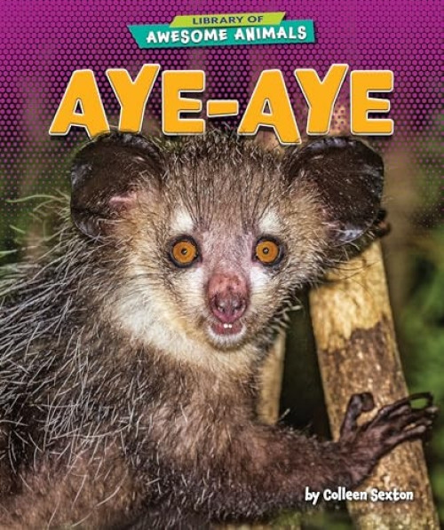 Aye-Aye by Colleen Sexton, 9781647471408