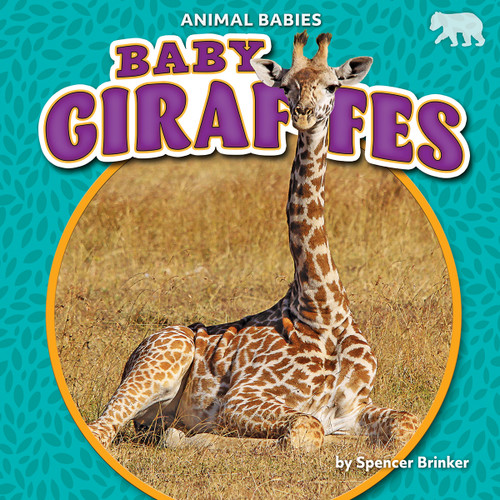 Baby Giraffes - 9781642809565 by Spencer Brinker, 9781642809565