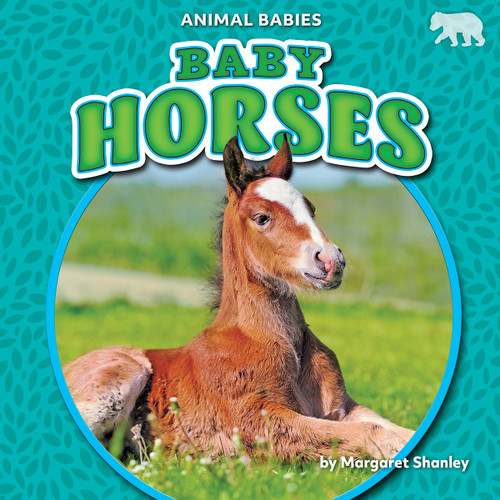 Baby Horses by Margaret Shanley, 9781642809657