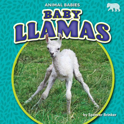 Baby Llamas - 9781642809664 by Spencer Brinker, 9781642809664