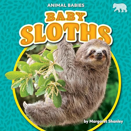 Baby Sloths - 9781642809602 by Margaret Shanley, 9781642809602