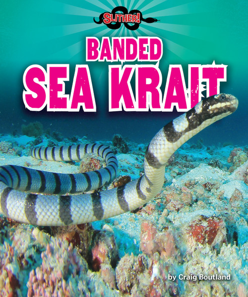 Banded Sea Krait - 9781647470937 by Craig Boutland, 9781647470937