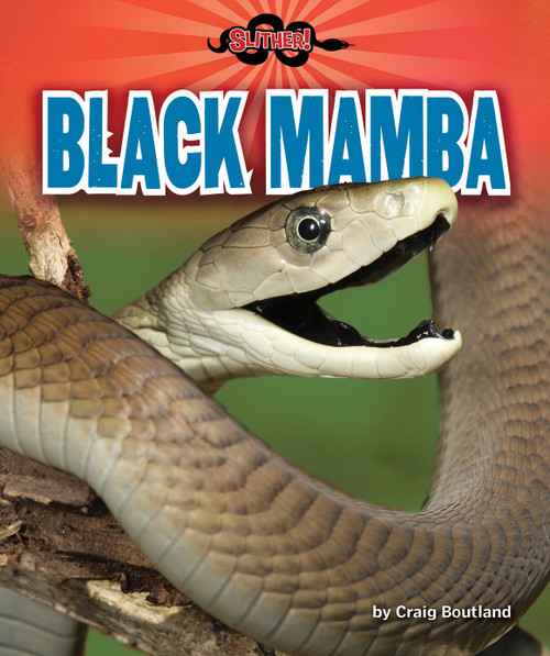 Black Mamba - 9781647470944 by Craig Boutland, 9781647470944