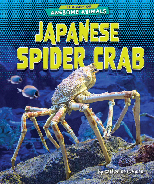 Japanese Spider Crab - 9781647471439 by Catherine C. Finan, 9781647471439