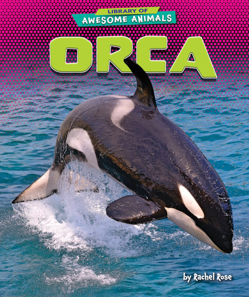 Orca - 9781647471583 by Rachel Rose, 9781647471583