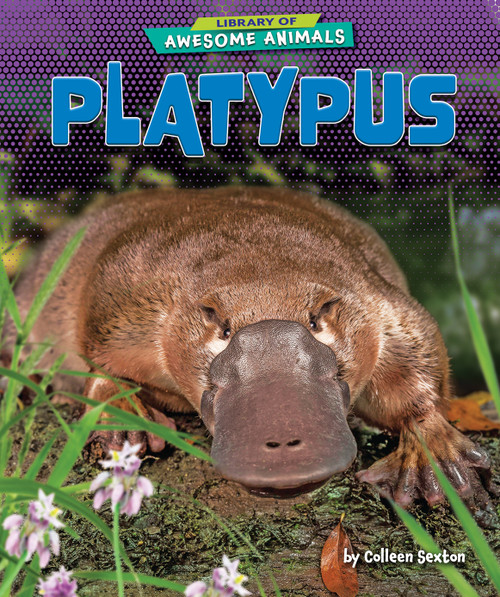 Platypus - 9781647471453 by Colleen Sexton, 9781647471453