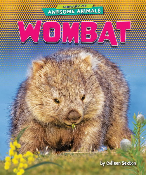 Wombat by Colleen Sexton, 9781647471606