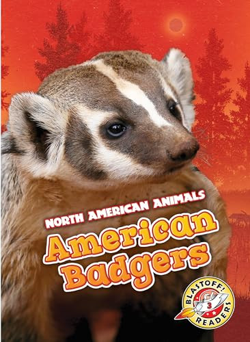 American Badgers by Rebecca Sabelko, 9781626177956