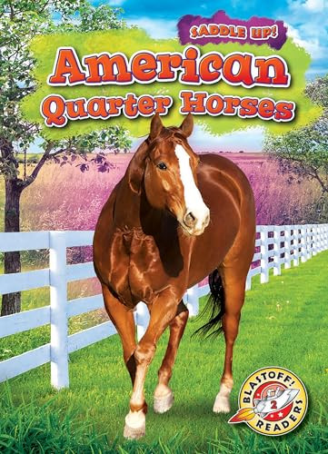 American Quarter Horses - 9781644872321 by Rachel Grack