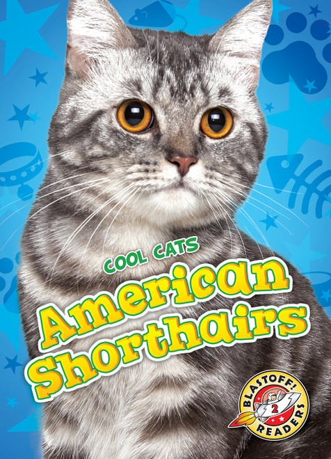 American Shorthairs - 9781626172302 by Christina Leaf, 9781626172302