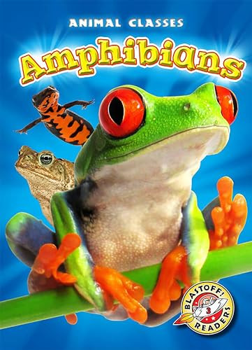 Amphibians - 9781626174900 by Kari Schuetz, Mandy Kaplan, 9781626174900